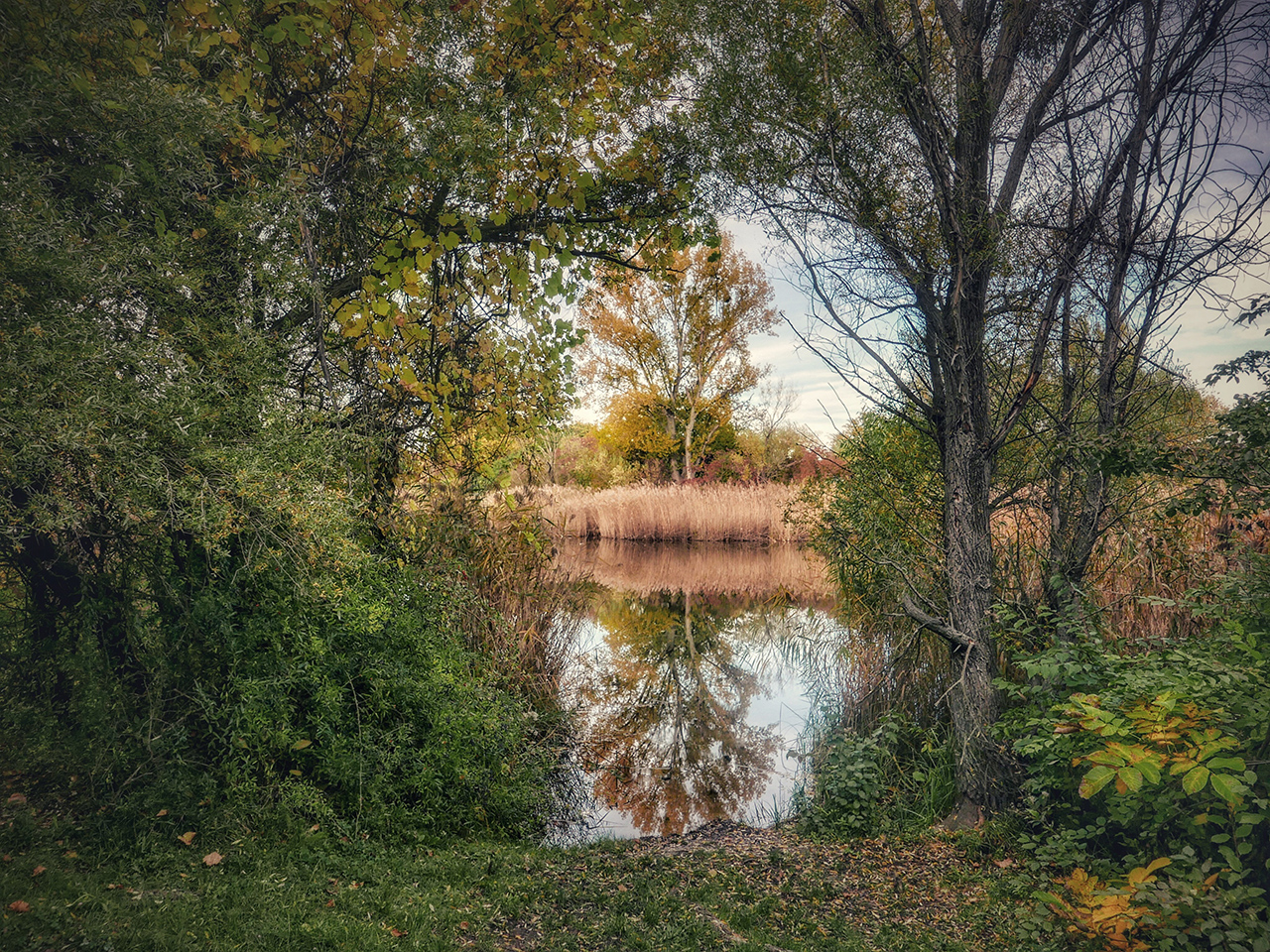 Mühlwasser 5
