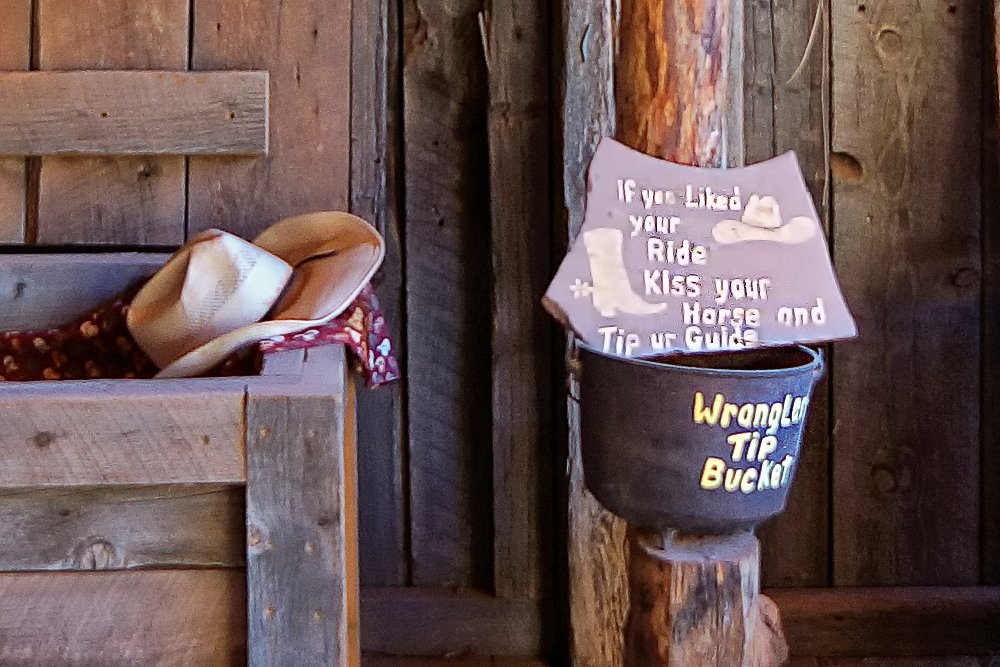 Nach dem Ausritt_DSC09059a.jpg