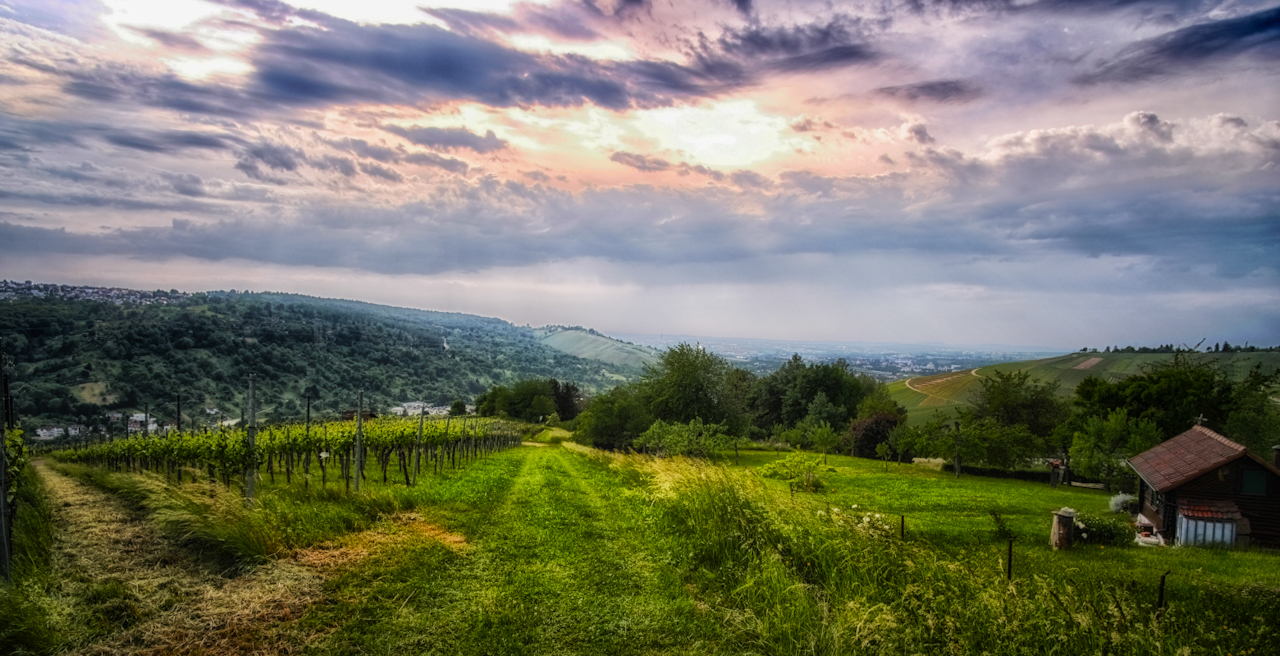 Nach dem Gewitter