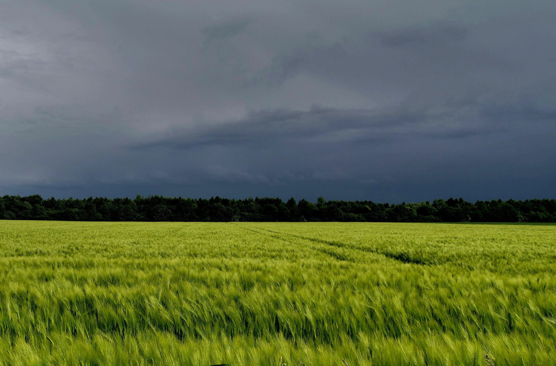 Nach dem Gewitter.