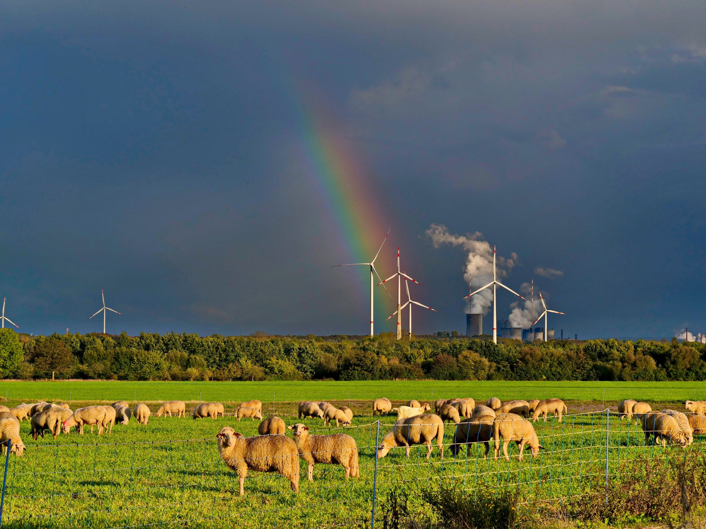 Nach dem Gewitter.