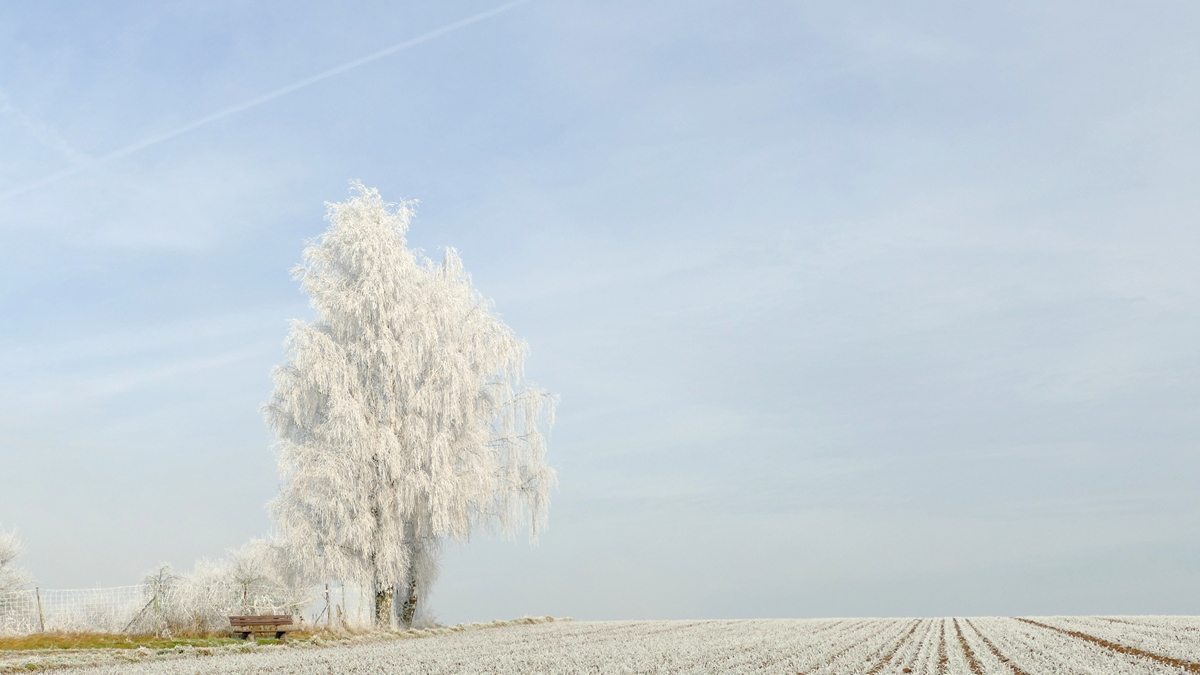 Nach dem Nebel