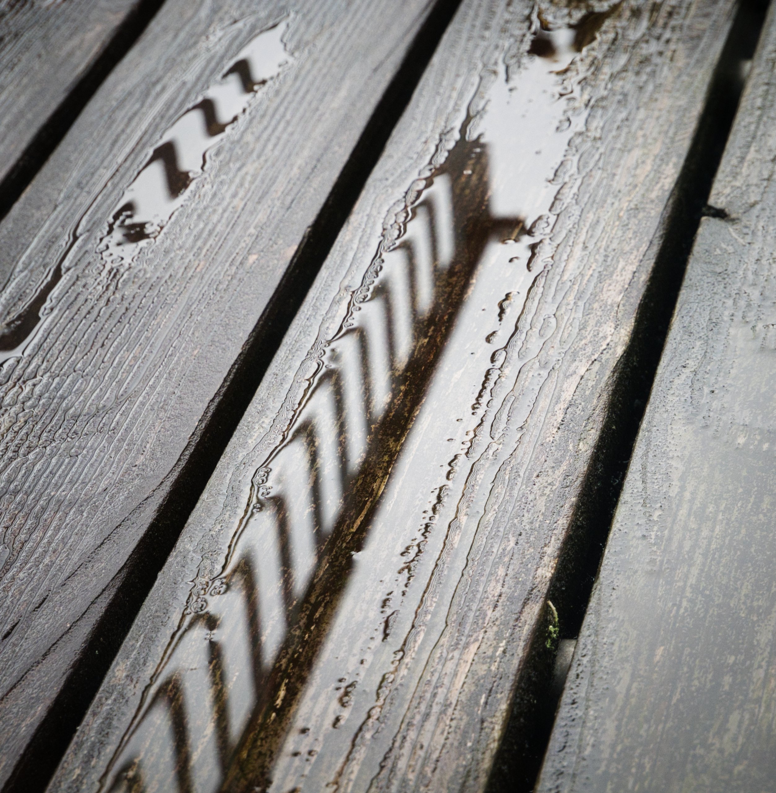 Nach dem Regen