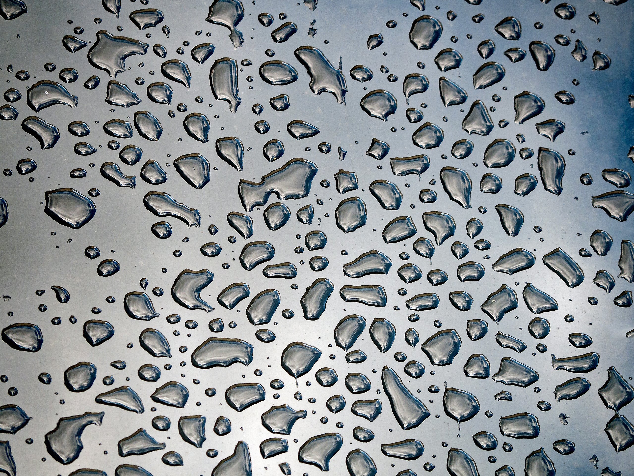 Nach dem Regen