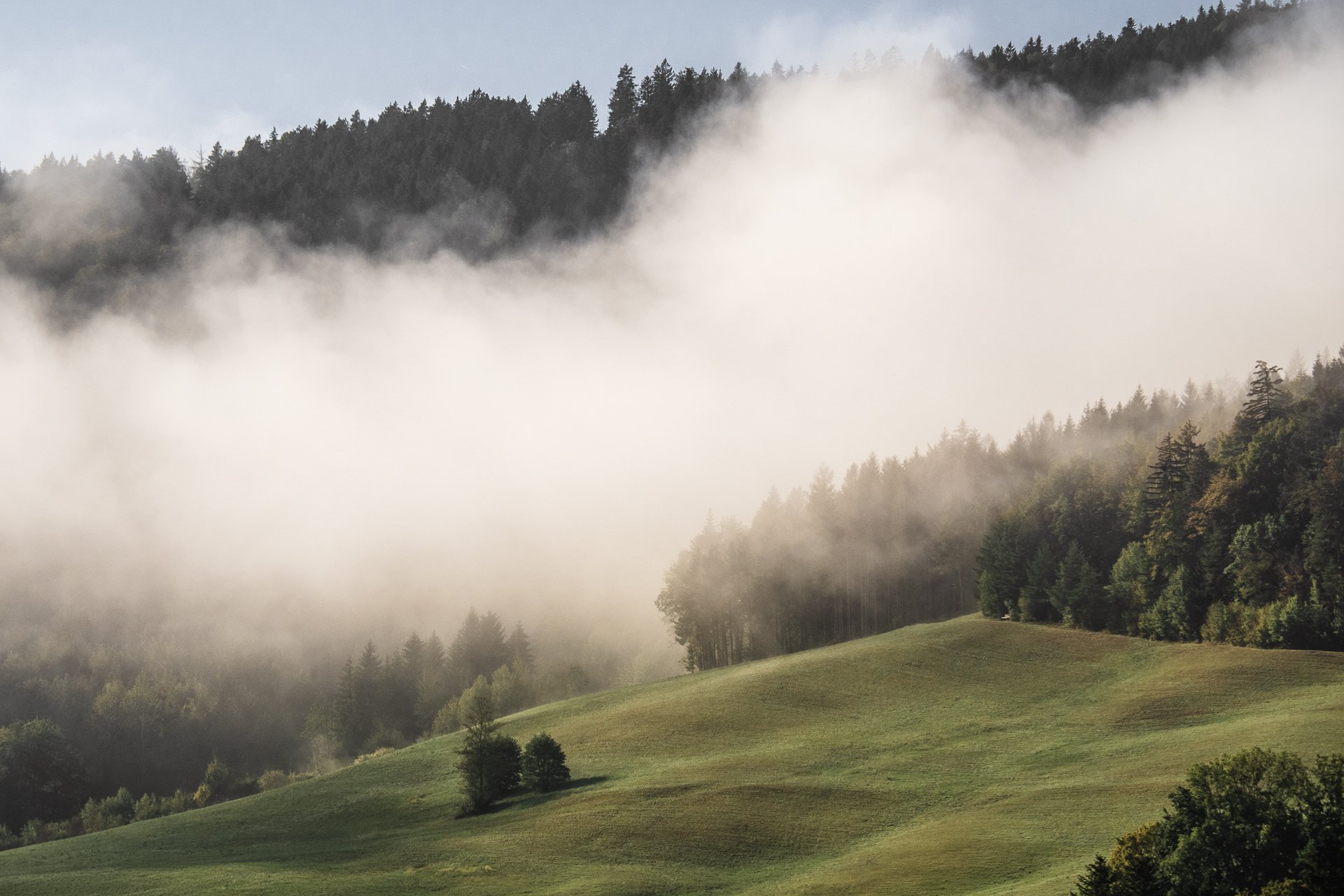 nach dem Regen