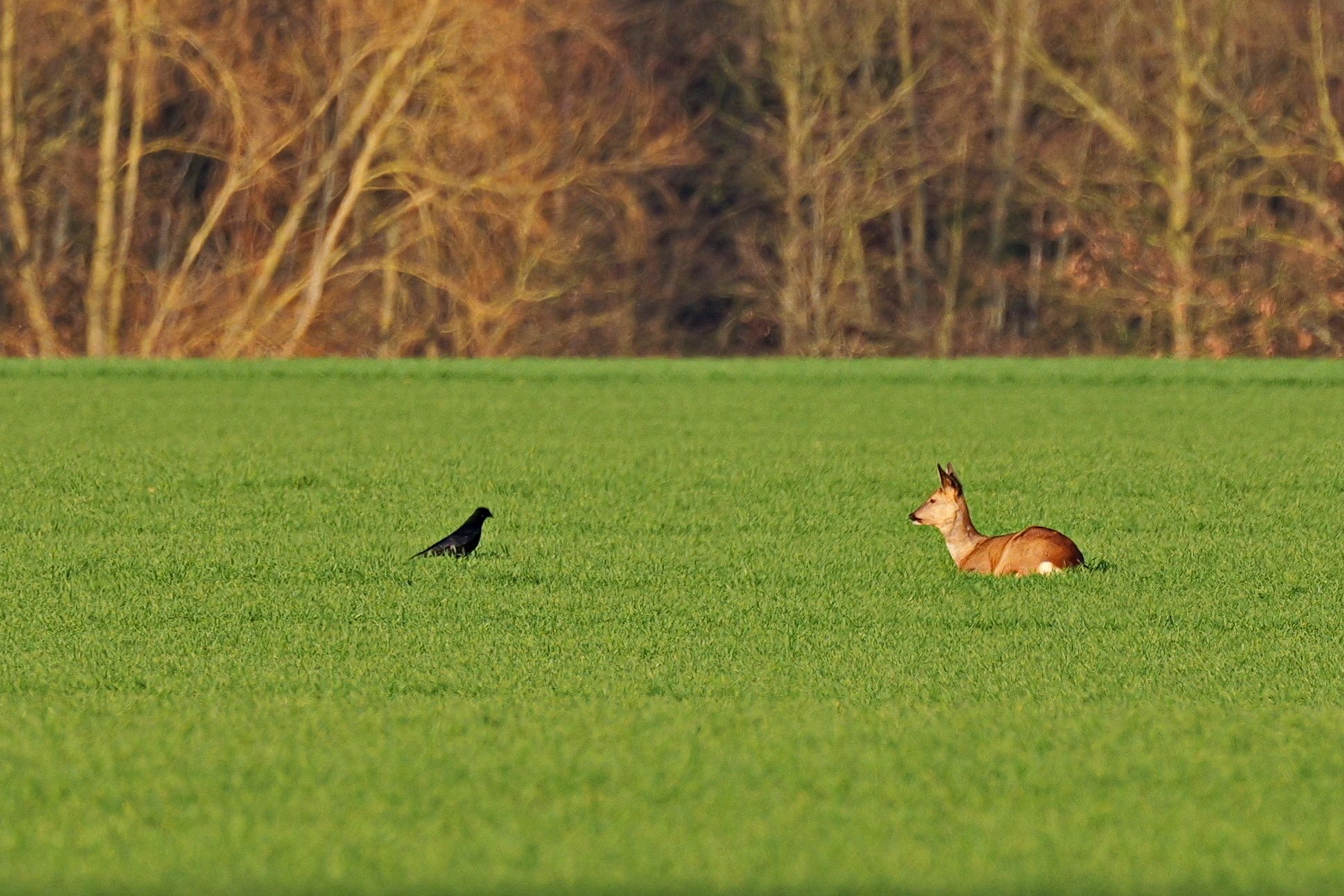 Nachmittäglicher Plausch in der Sonne.
