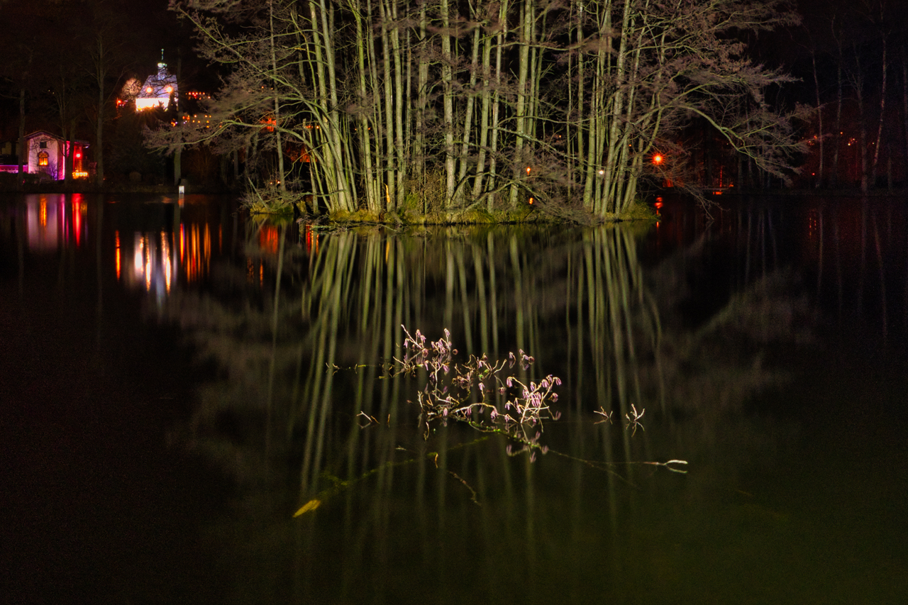 nachts am Teich