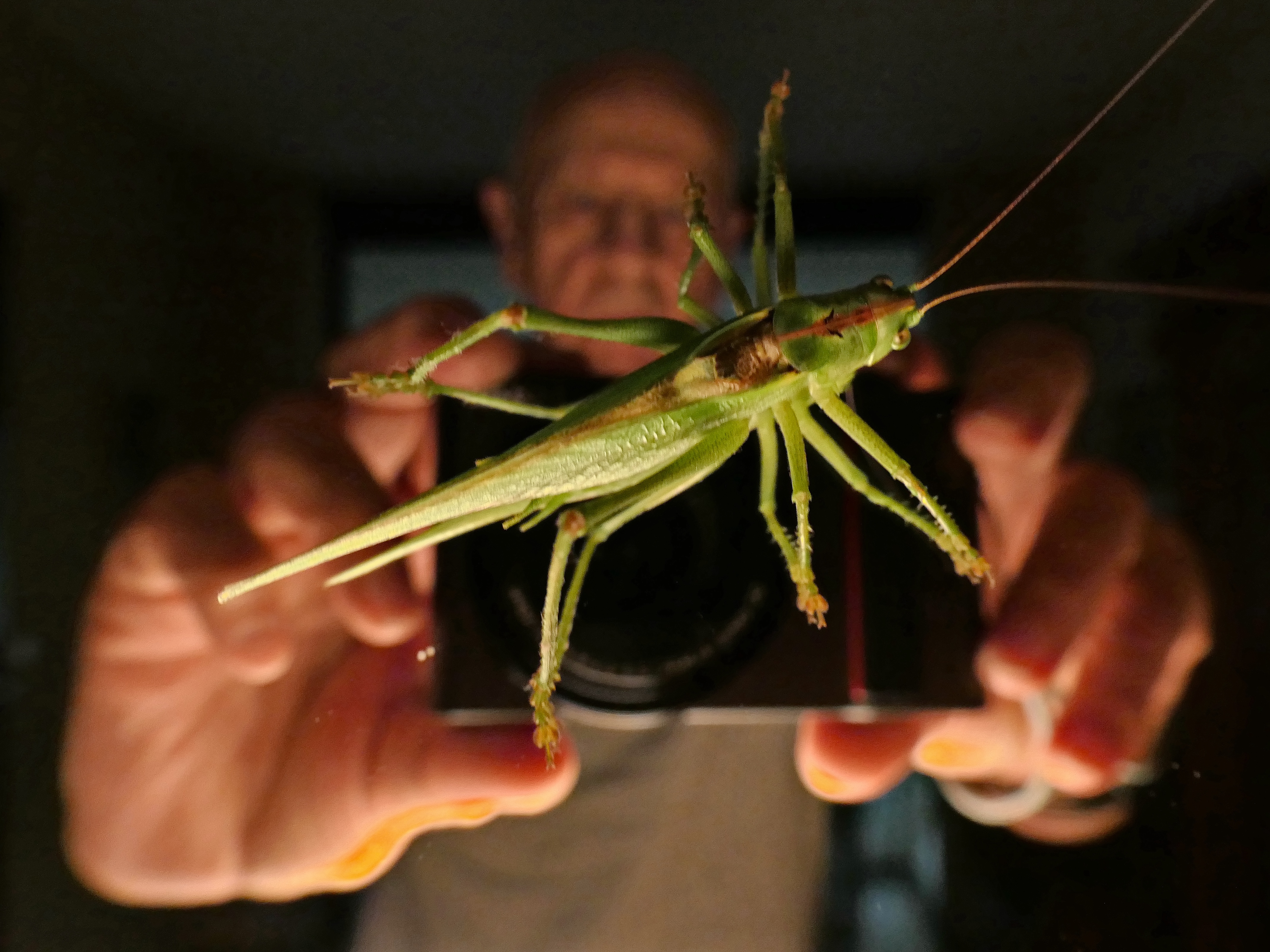 nächtlicher Besuch