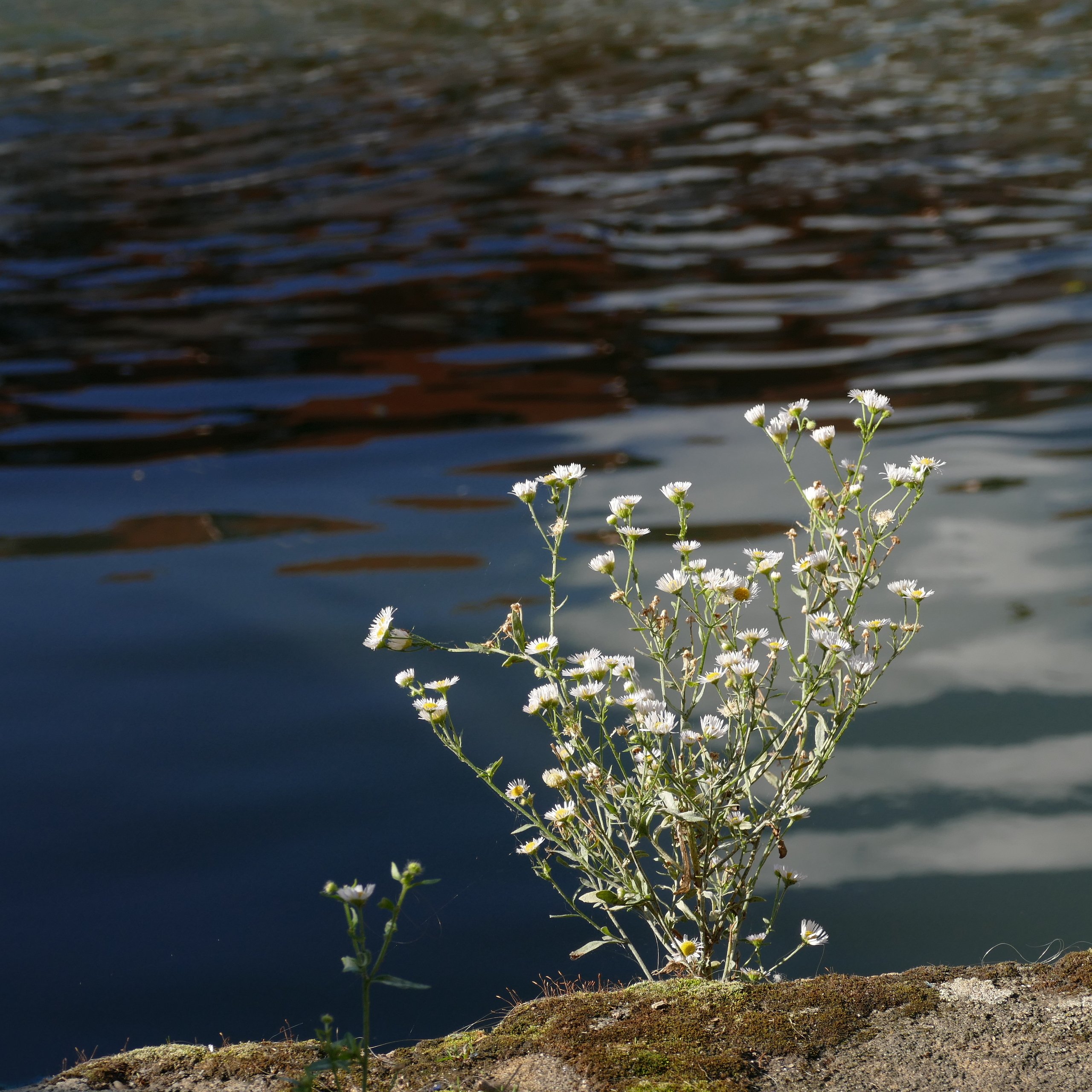 Nah am Wasser gebaut