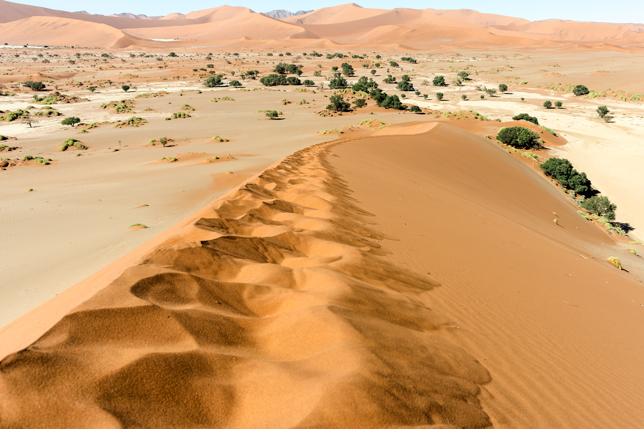 Namib_Big_Mama