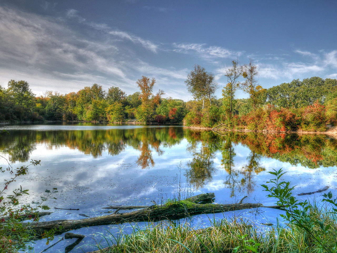 Nationalpark Donauauen  1