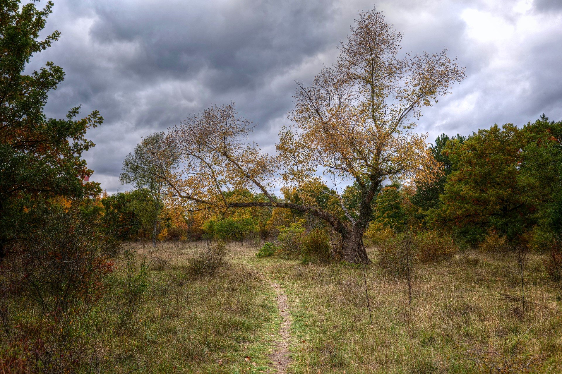 Nationalpark Donauauen
