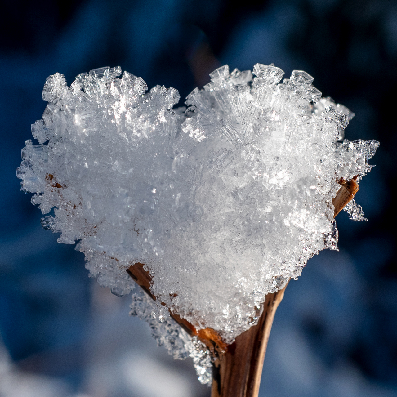 Natur-Herz aus Schnee- und Frostkristallen