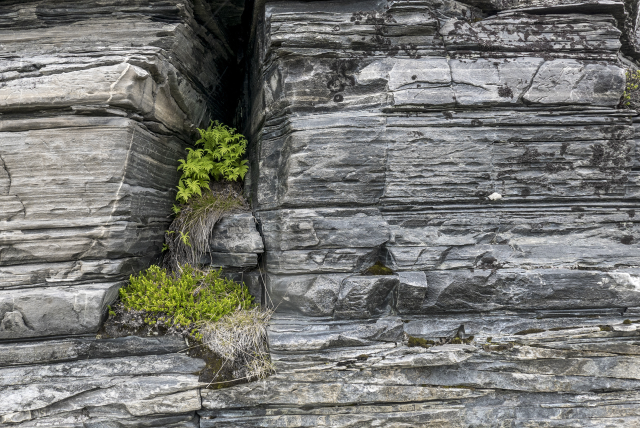 Natur im Schieferstein.jpg