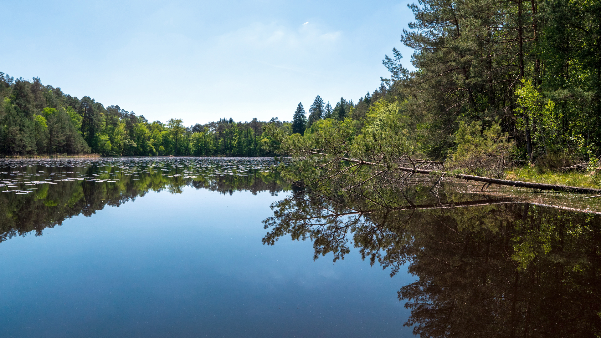 Natur Pur