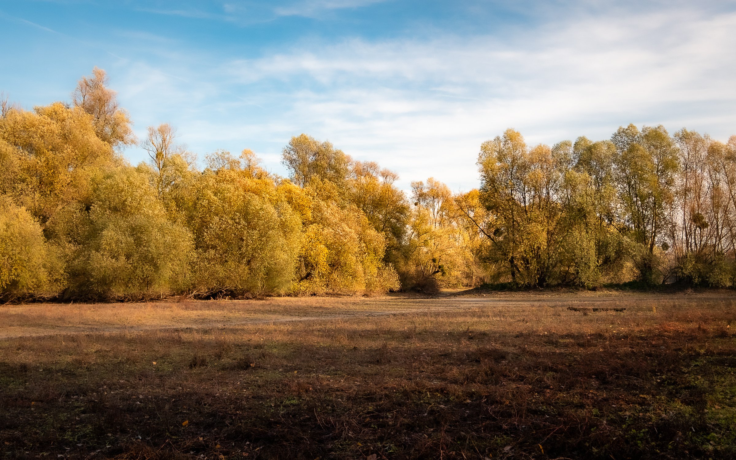 Naturschutzgebiet Kühkopf im Winterhalbjahr