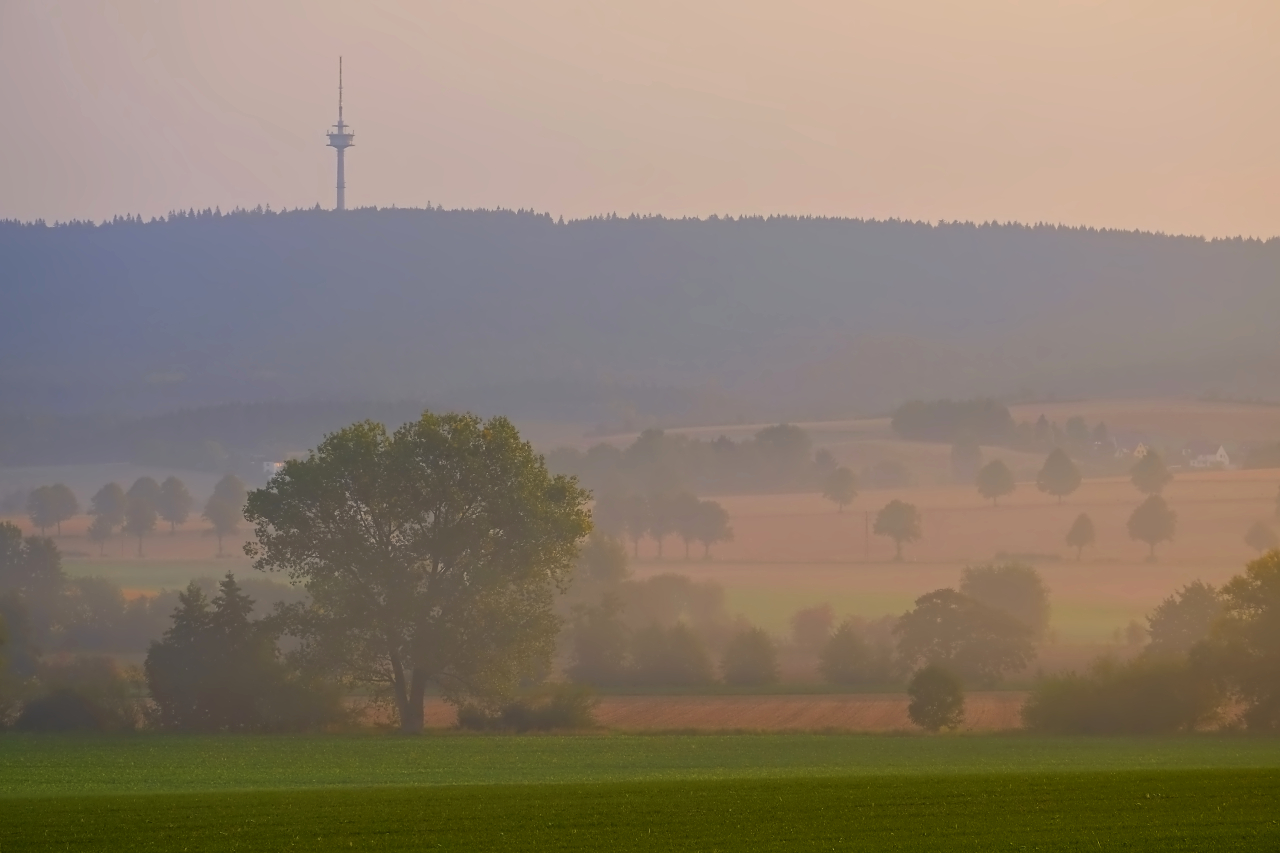 Nebel am Deister