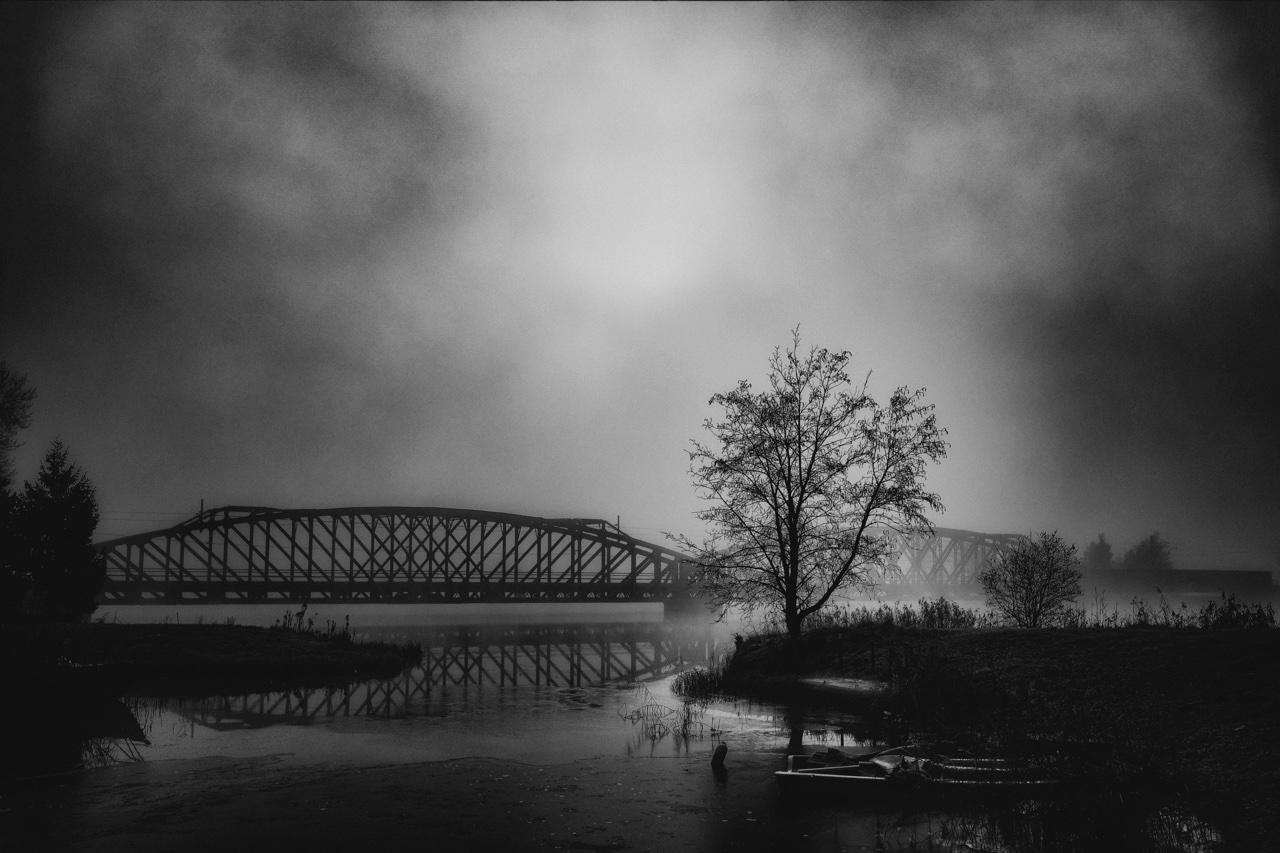 Nebel am Fluss II