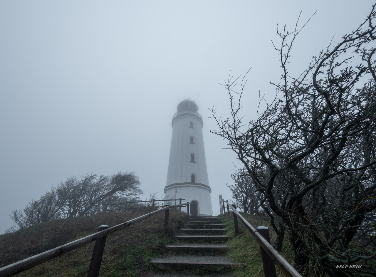 Nebel auf Hiddensee