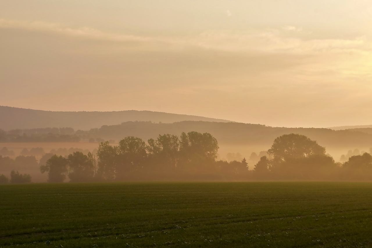 Nebel bei Sonnenaufgang