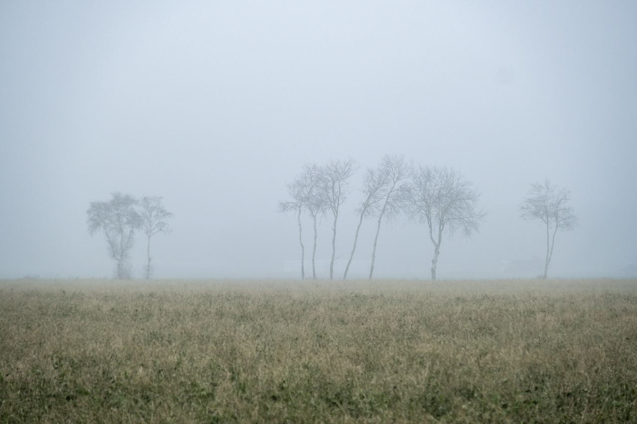 Nebel im Wendland