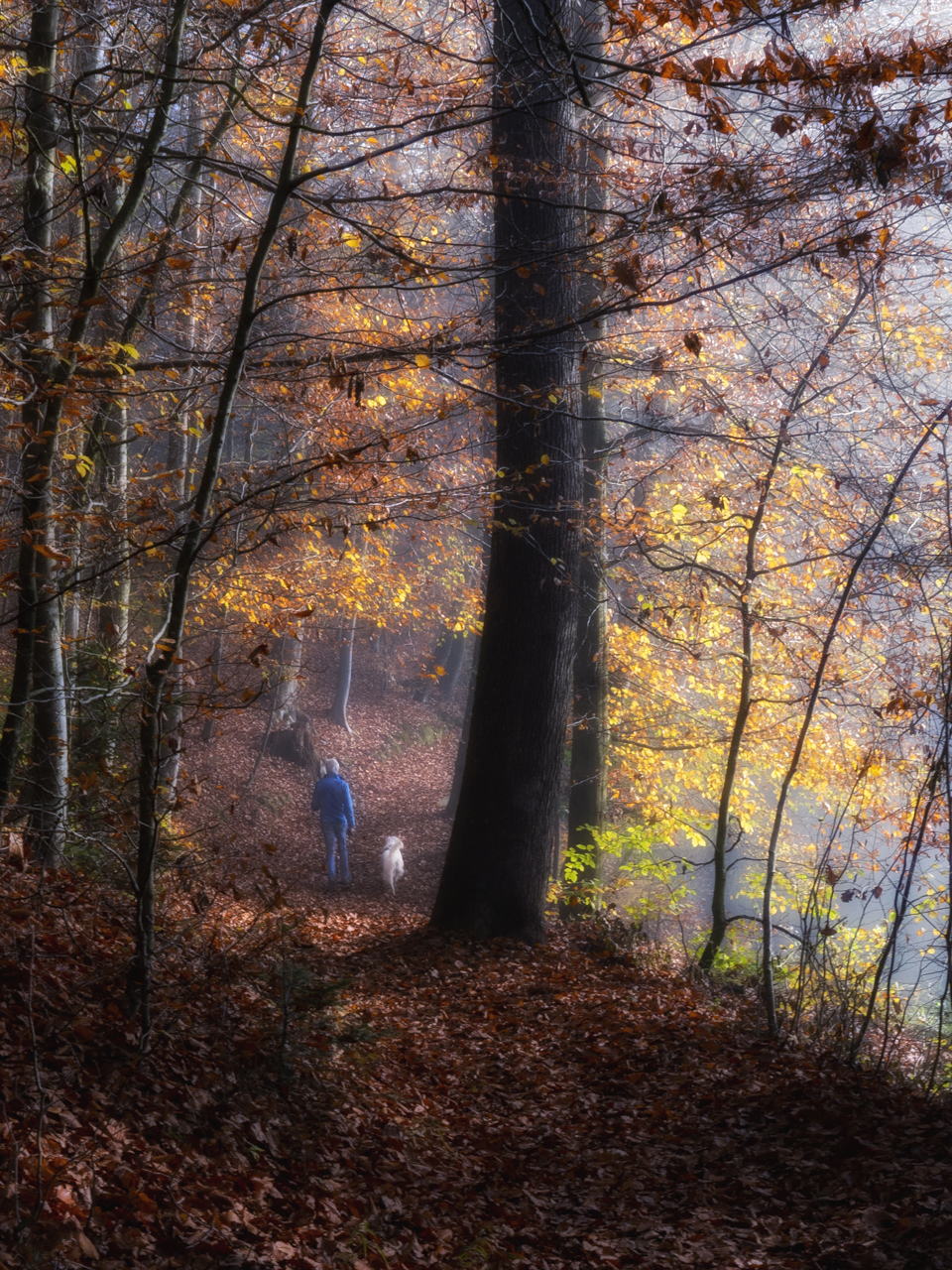 Nebel u. Sonne.jpg