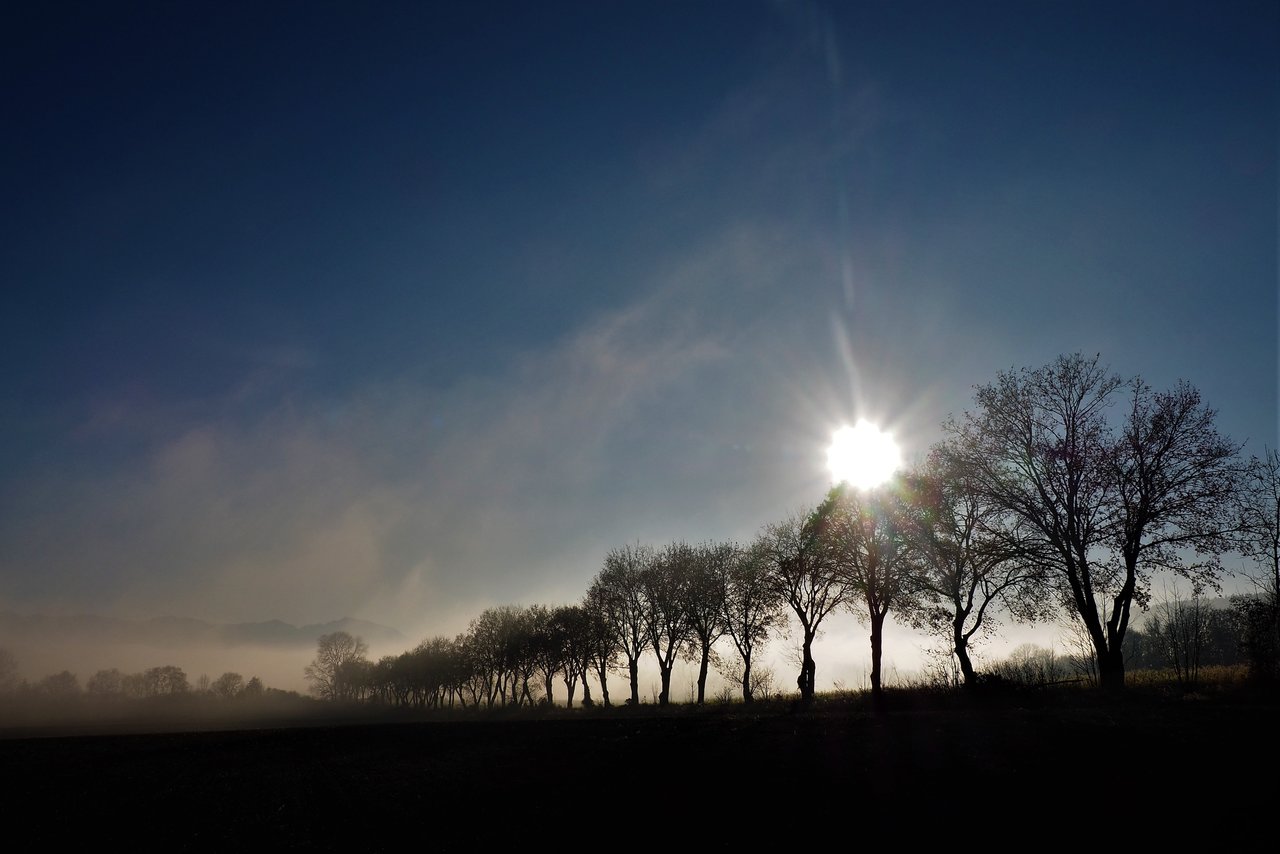 Nebel und Sonne