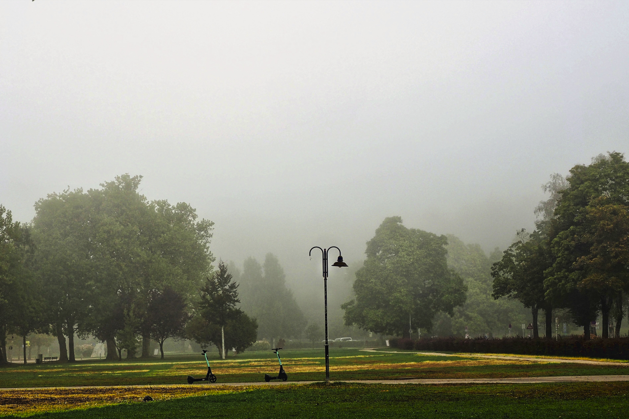 Nebel