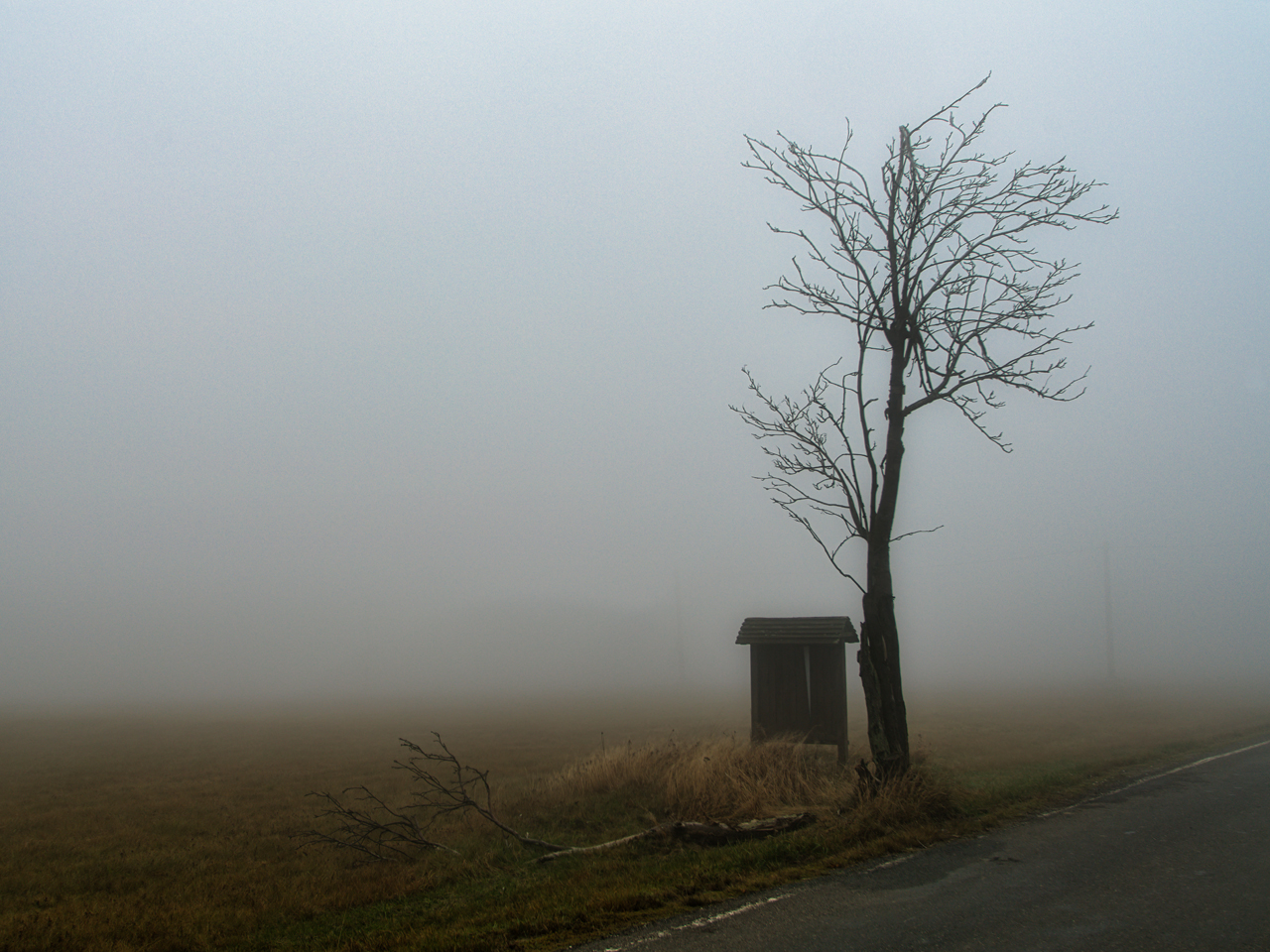 Nebel