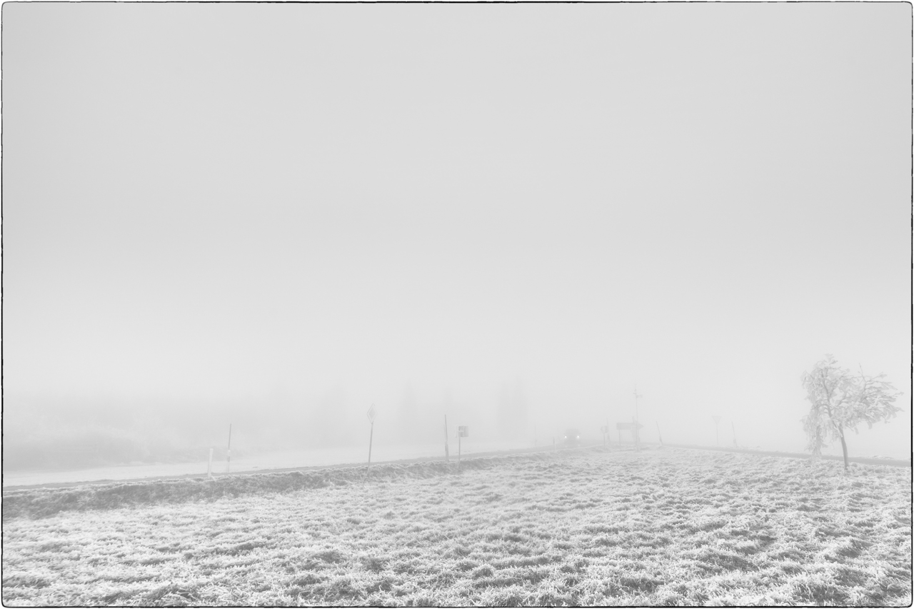 Nebelfahrt-2.jpg