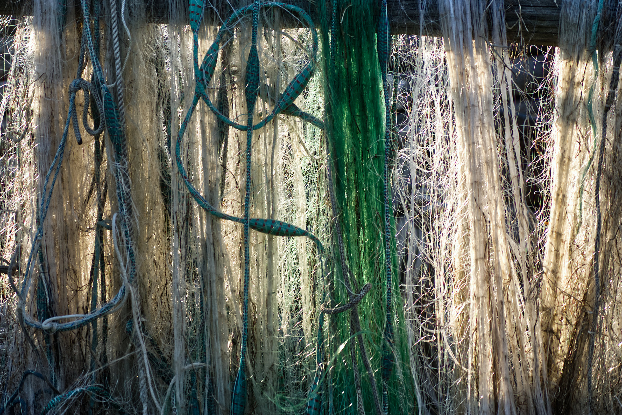 Netzwerk im Hafen von Bodstedt/Ostsee