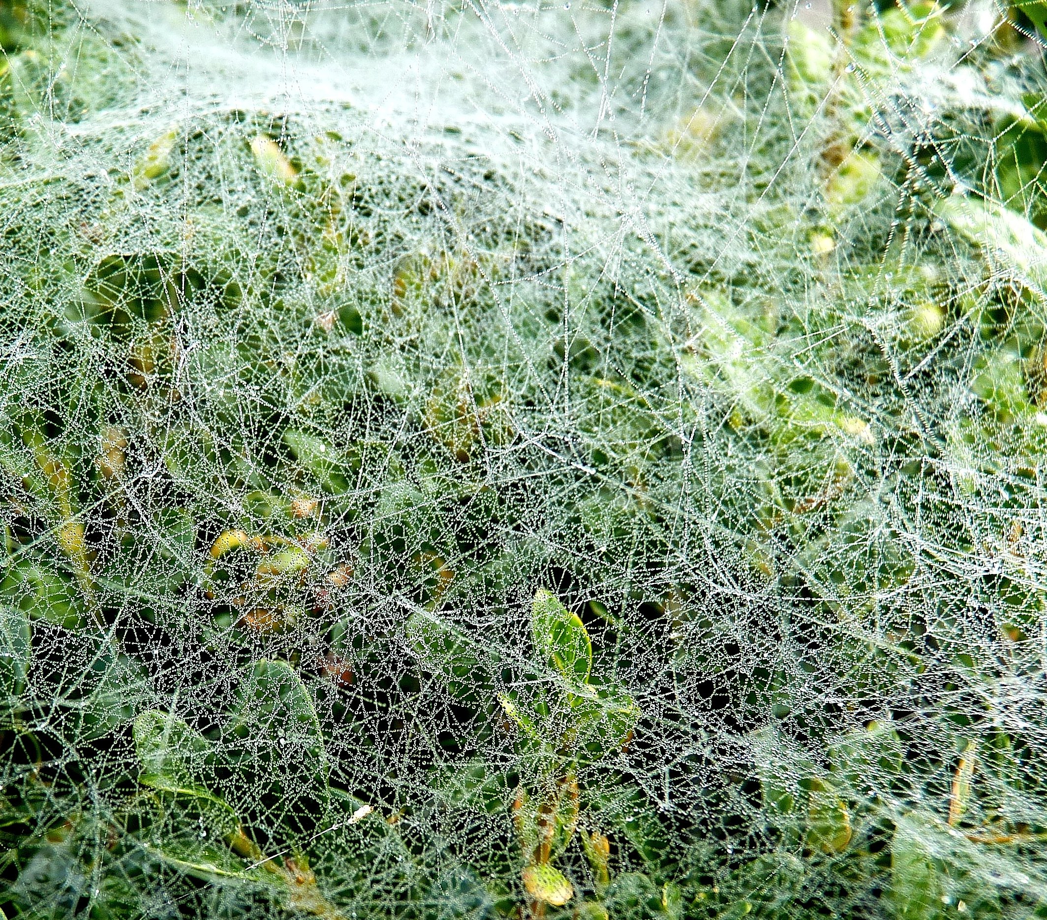 Netzwerk