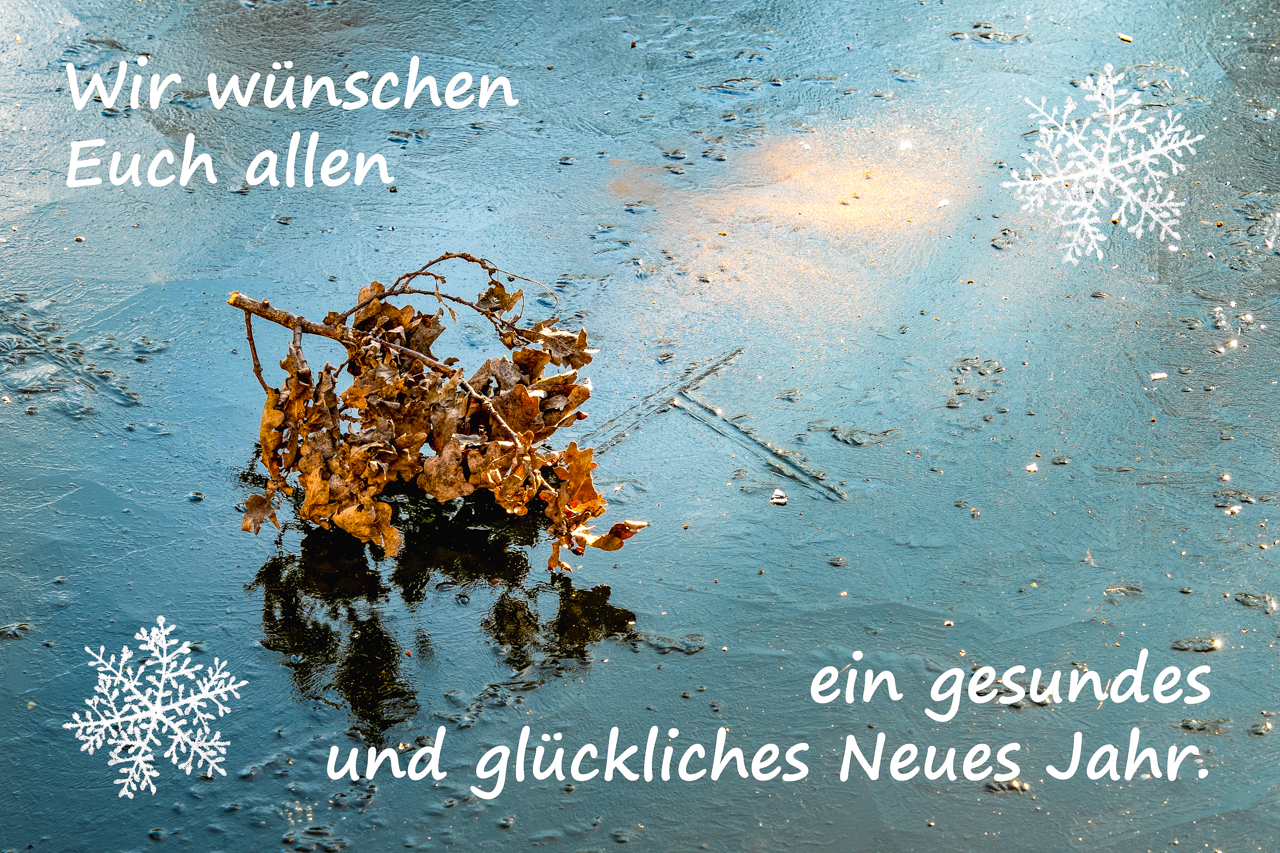 Neujahrsgruß