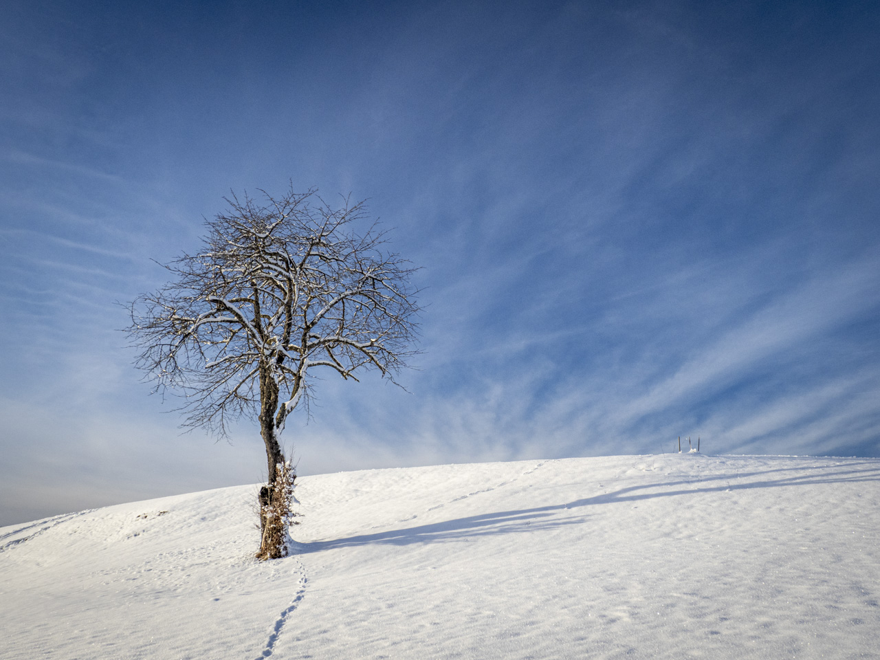 Neuschnee