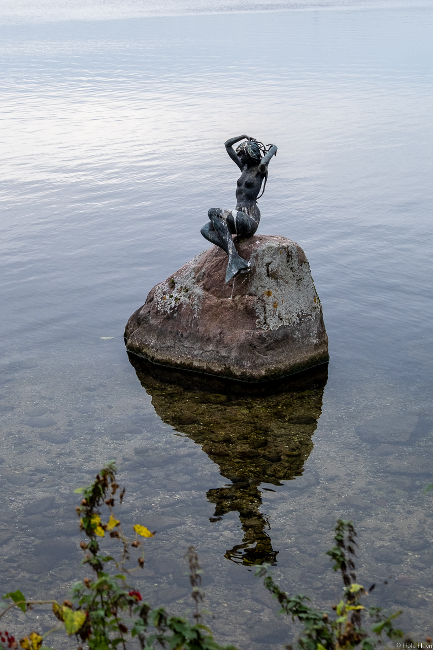 nicht nur in Kopenhagen, auch in Schleswig Holstein