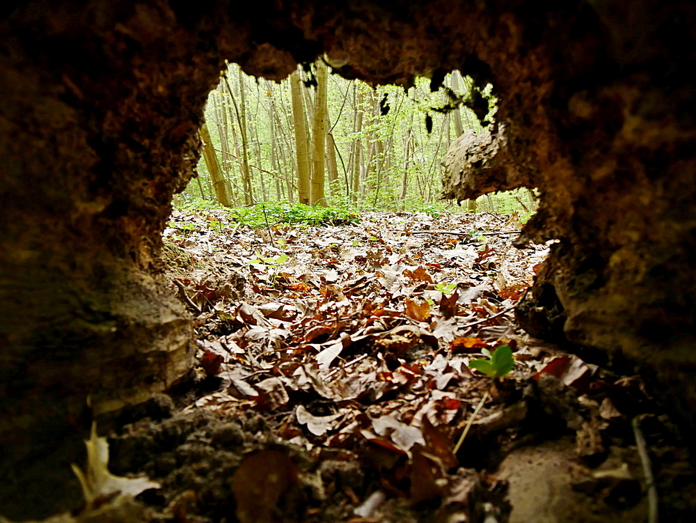 Nichts los in der Höhle