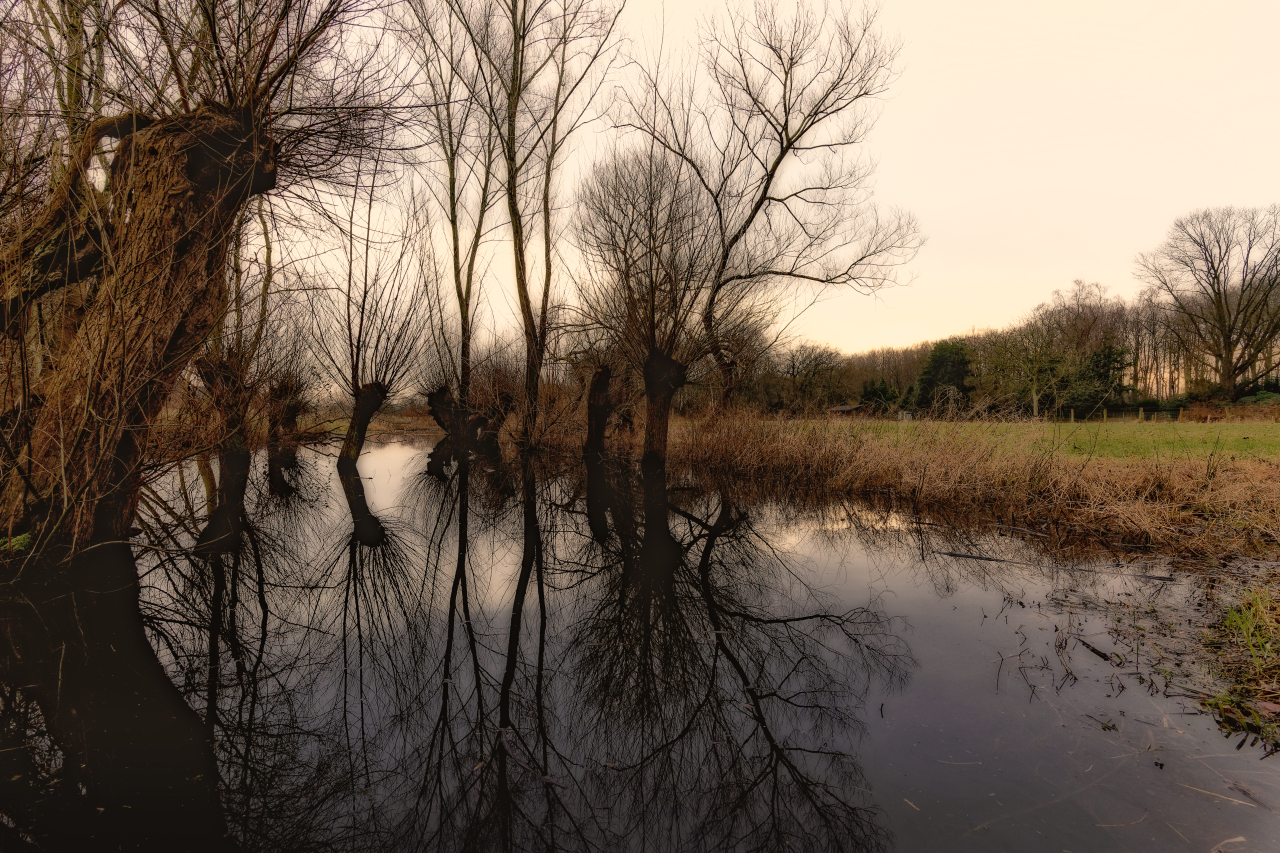 Niederrheinlandschaft