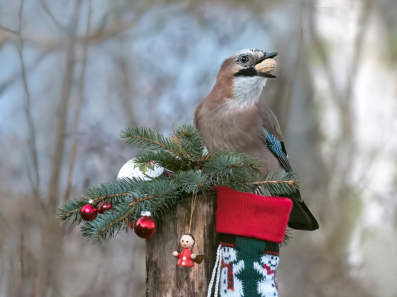 Nikolaus war da.