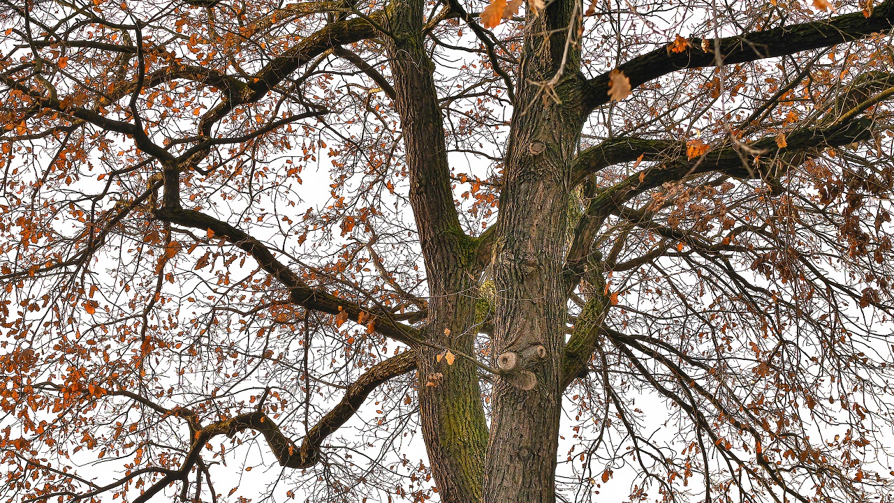 noch immer herbstlich