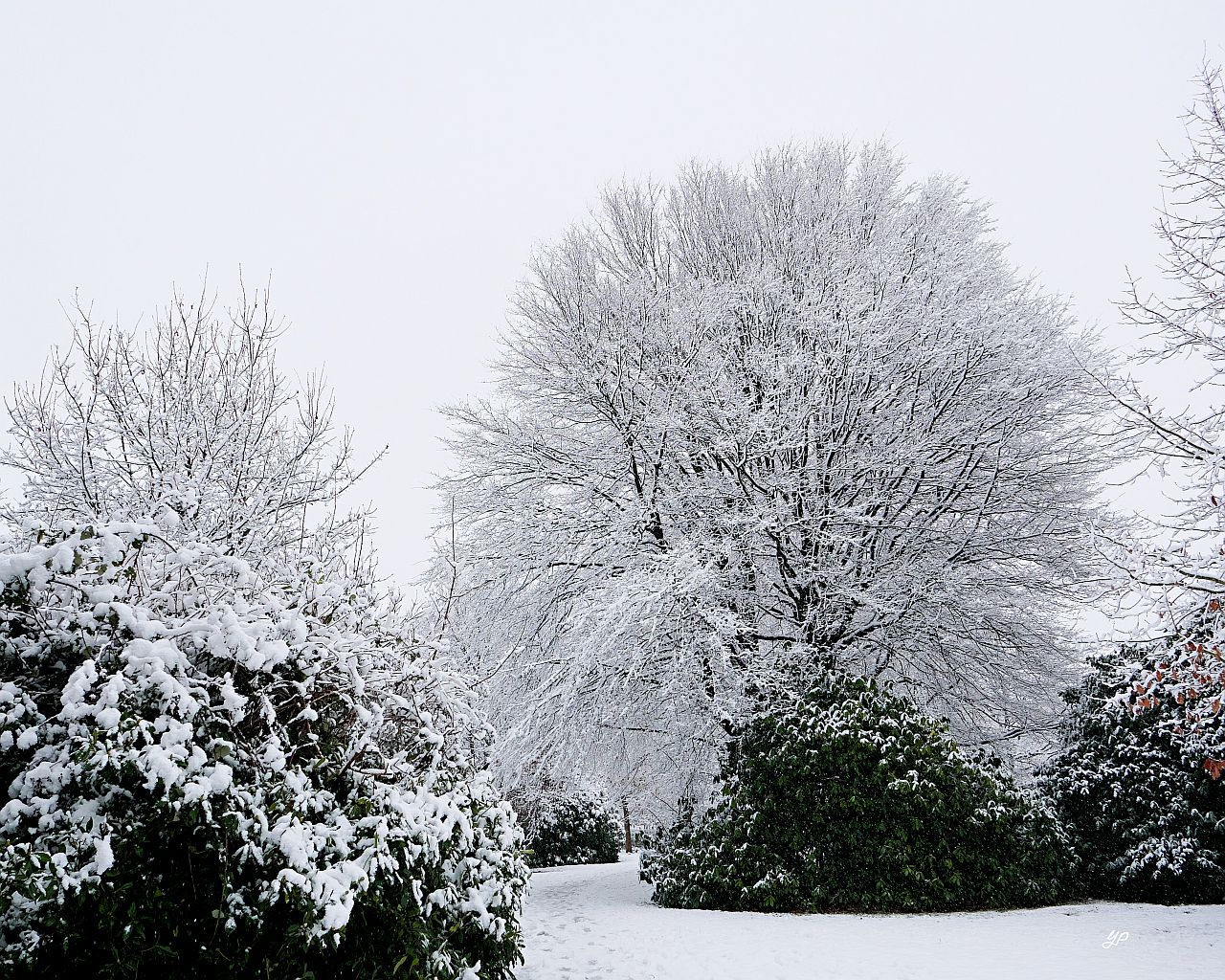 Noch schneit es