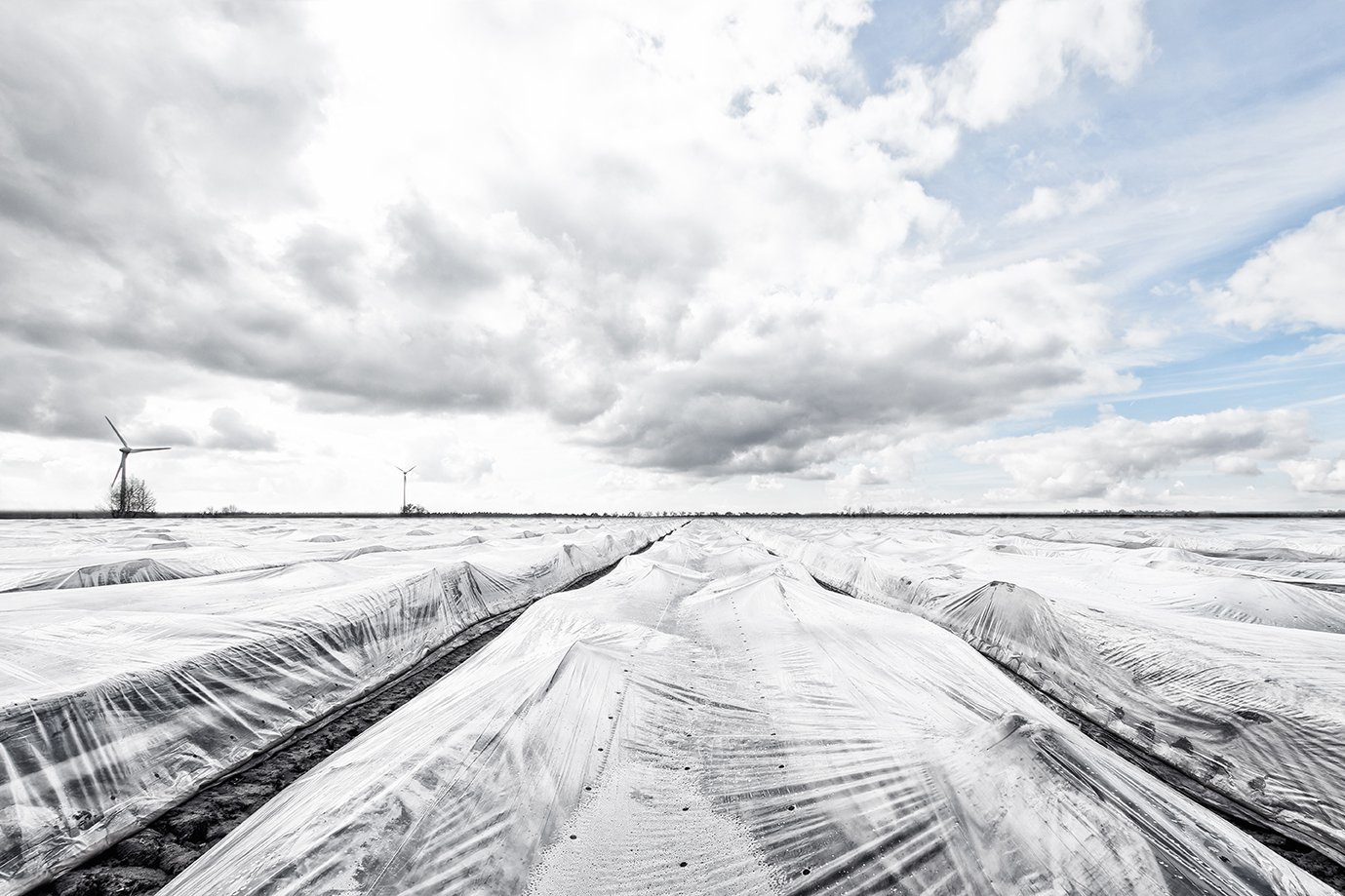 Noch unter der Plane