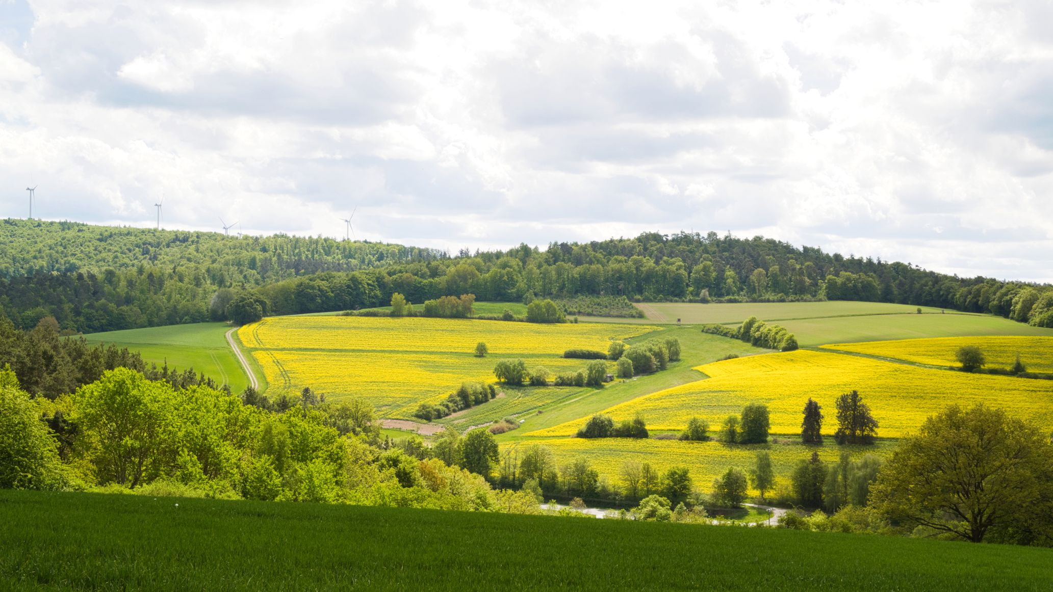 Nordhessische Mittelgebirgslandschaft