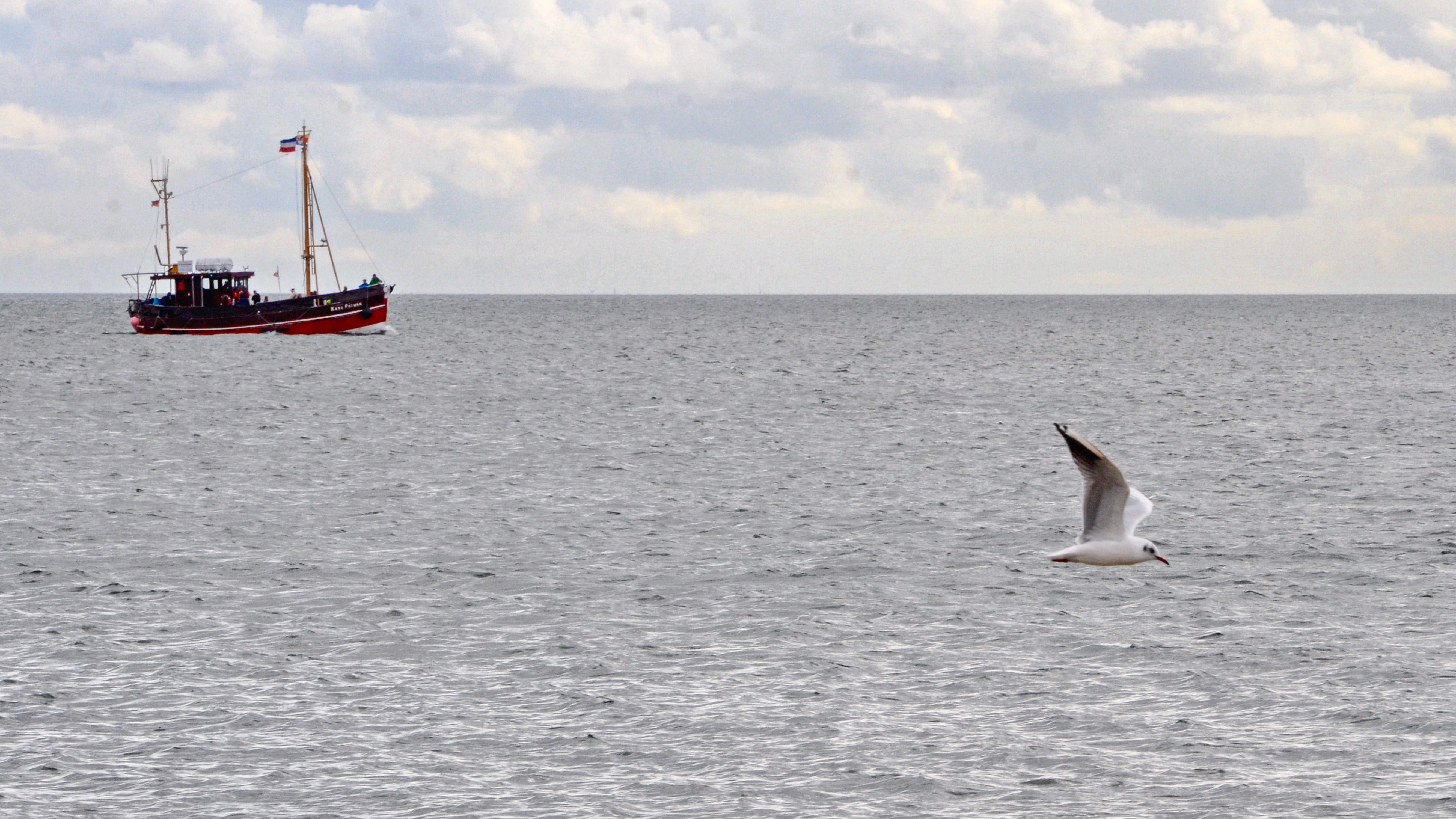 Nordseekutter