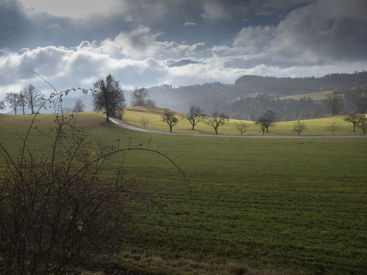 Novemberspaziergang