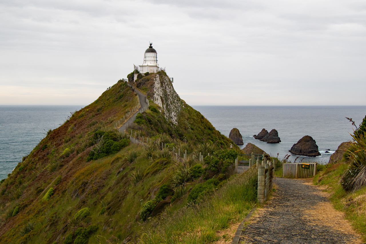 Nugget Point 2