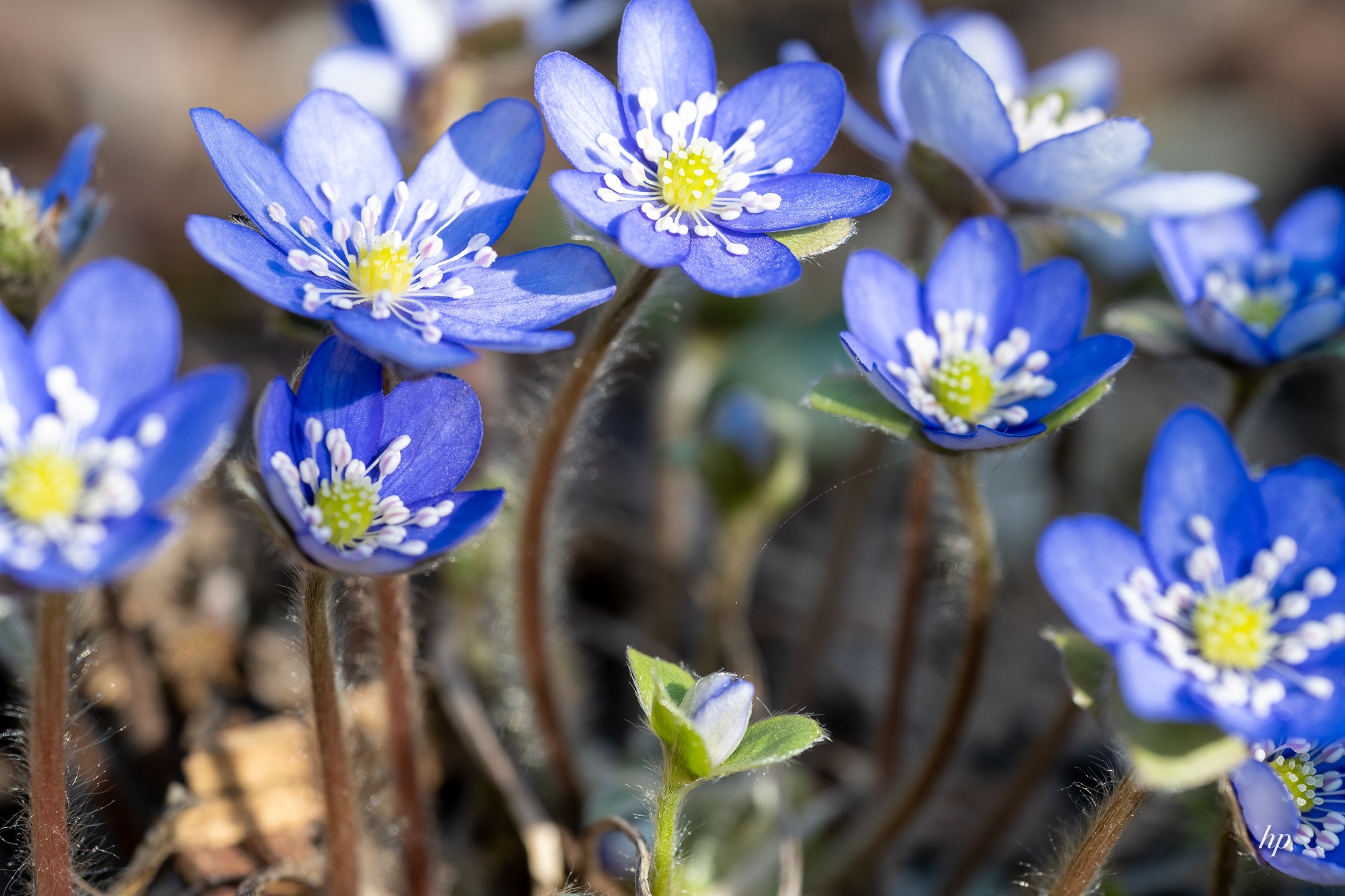 Nun geht es aber ab!