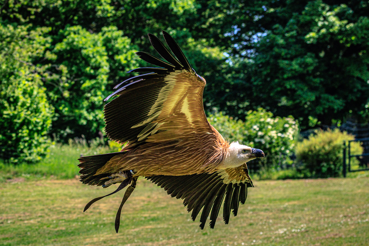 Nun hatte ich doch Lust zu fliegen....