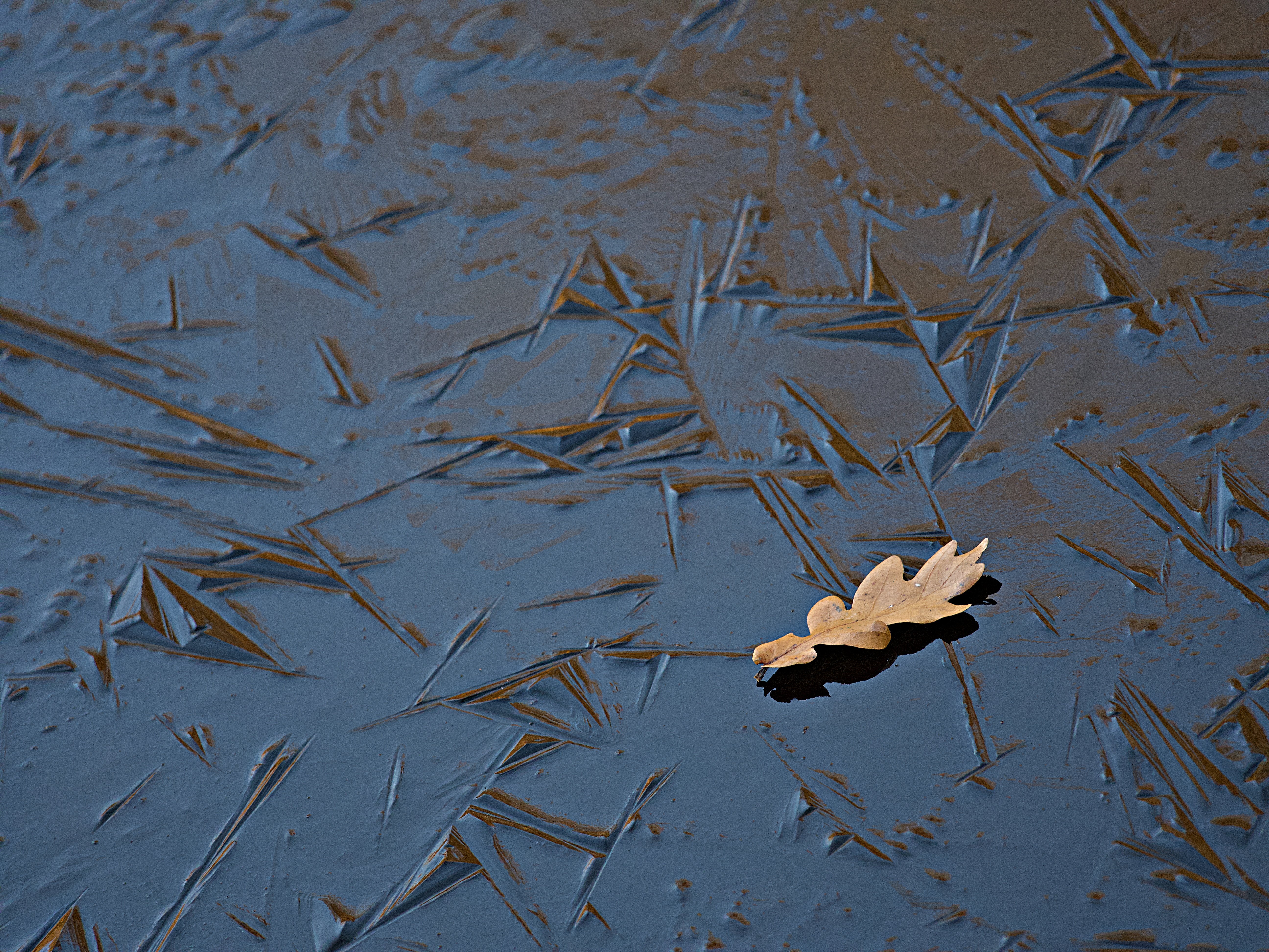 .... nur kurz @ljusvän