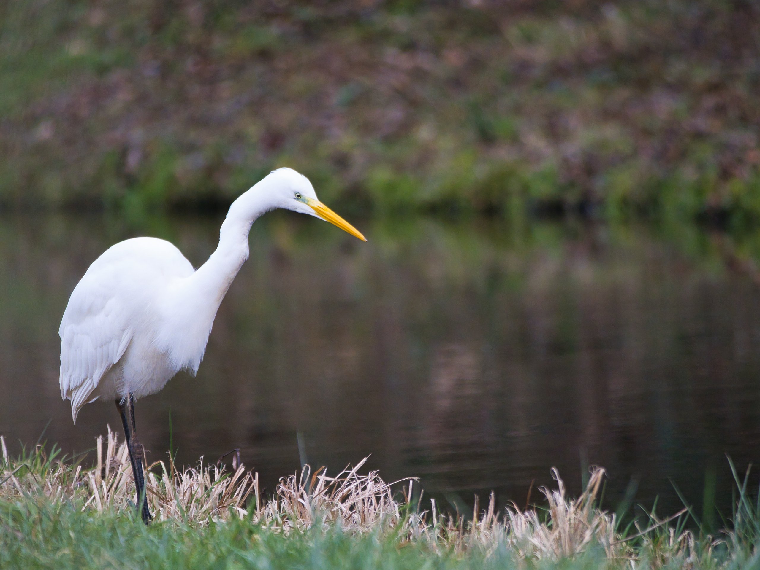 Ob es hier wohl Fische gibt?
