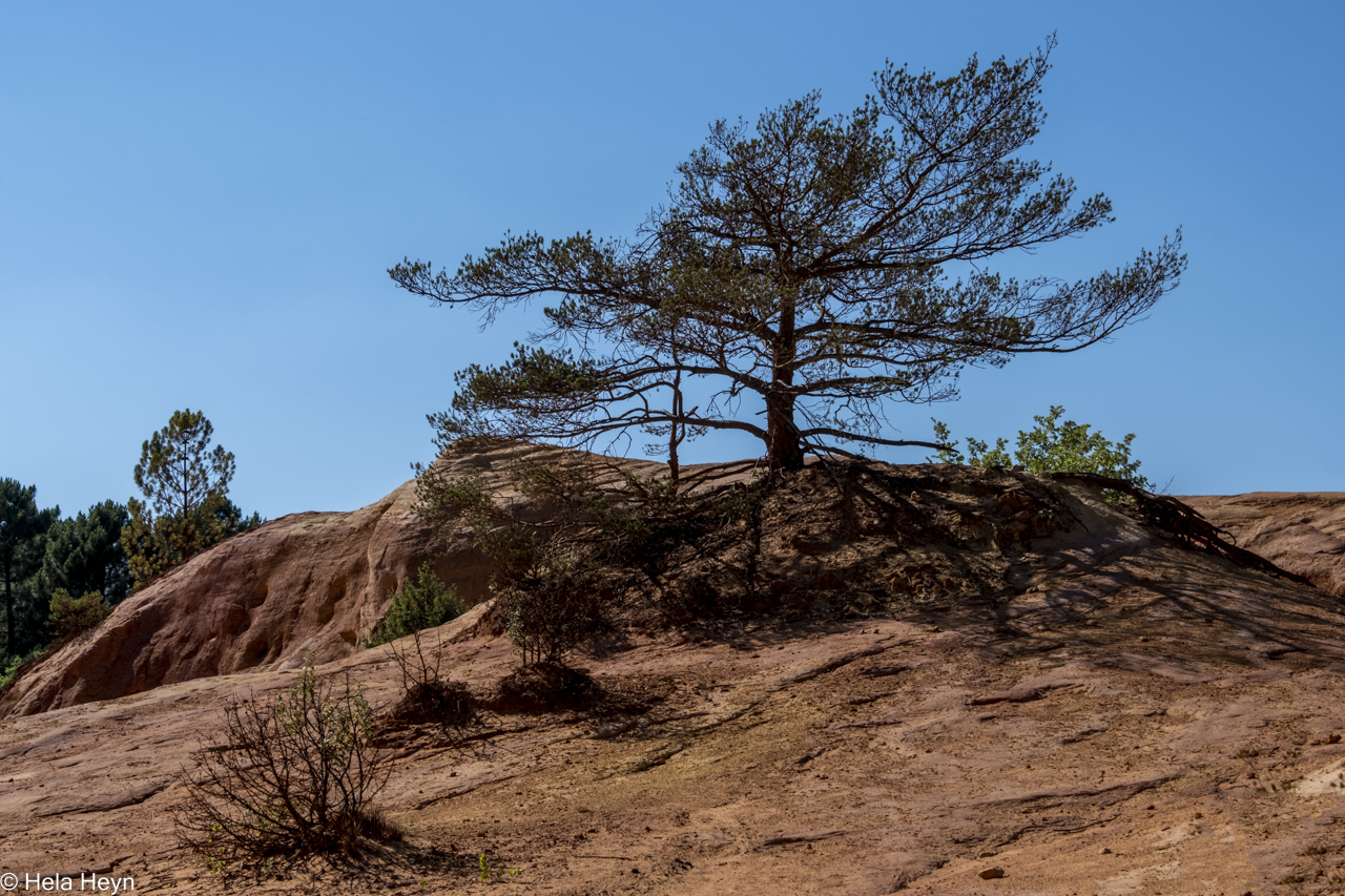 Ockerfelsen in der Provence